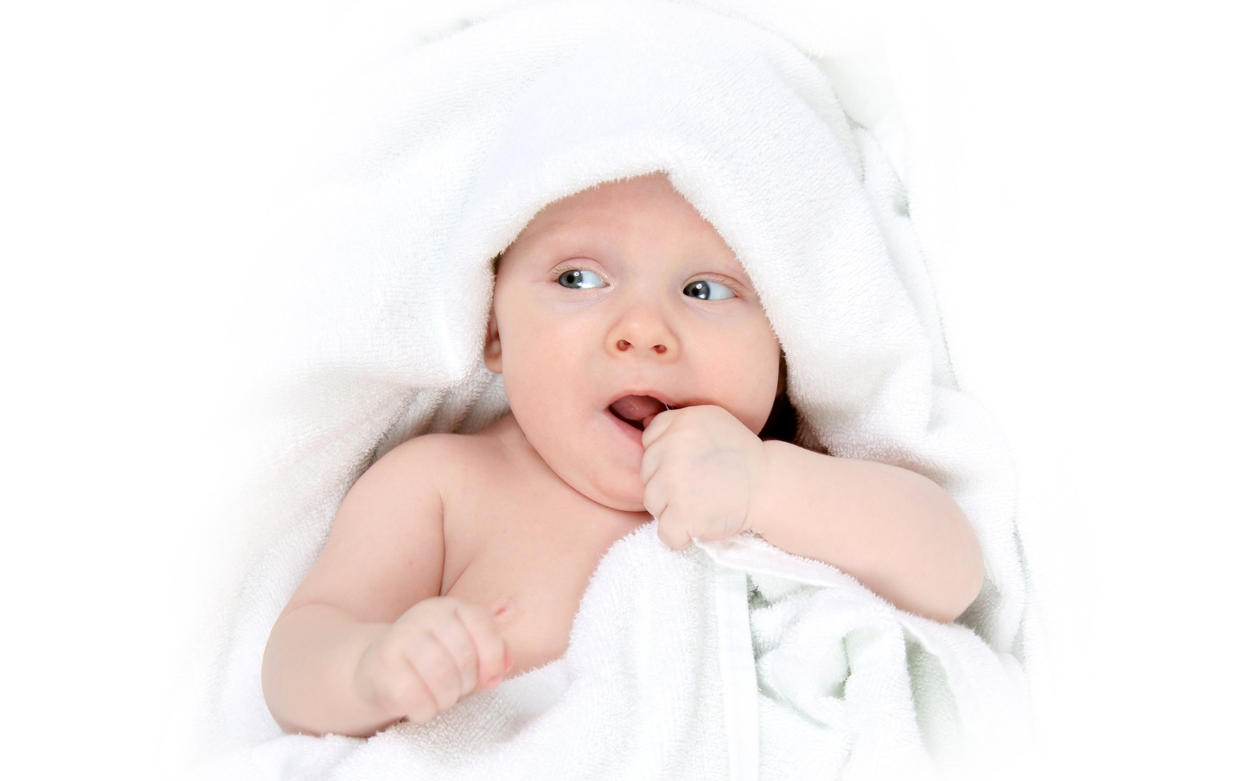 廊坊捐卵机构联系方式试管婴儿 没卵泡